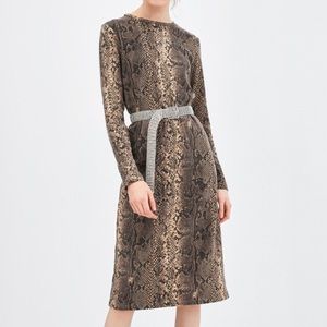 Zara Animal Print Dress